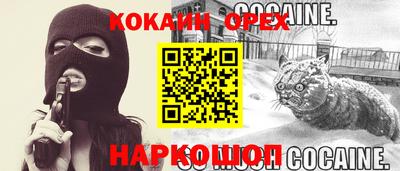 прущие грибы Ирбит