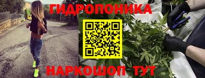 гидропоника Ипатово