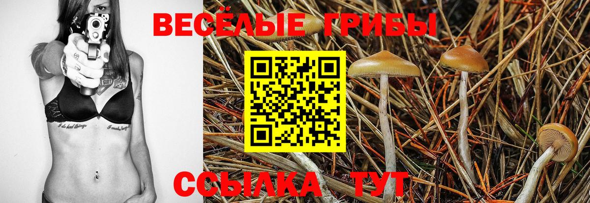 Ессентуки  Галлюциногенные грибы GOLDEN TEACHER  Вход с VPN 